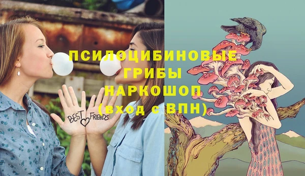 крисы Алексин