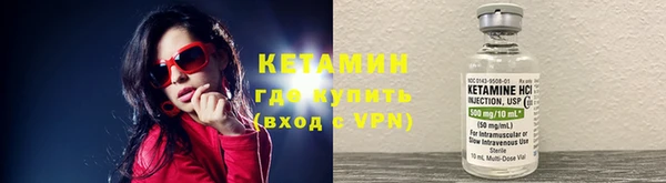крисы Алексин