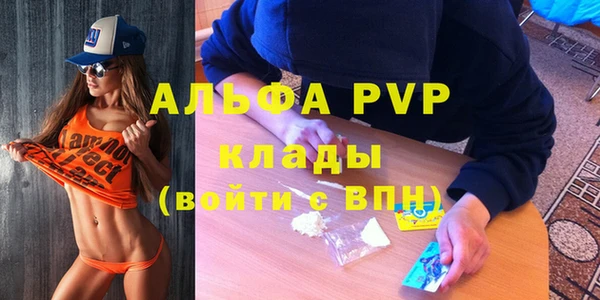 гидра Алзамай