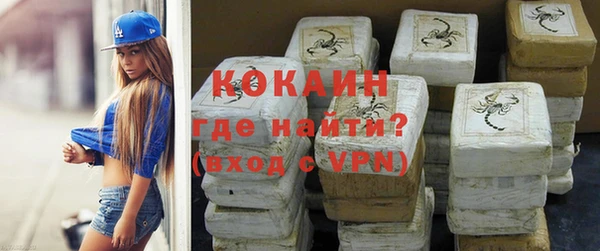 крисы Алексин