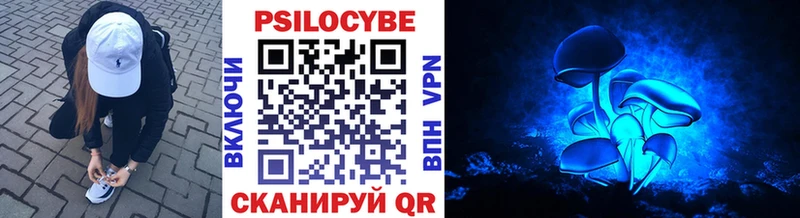 darknet какой сайт  kraken онион  Павловская  наркошоп  Псилоцибиновые грибы Cubensis 