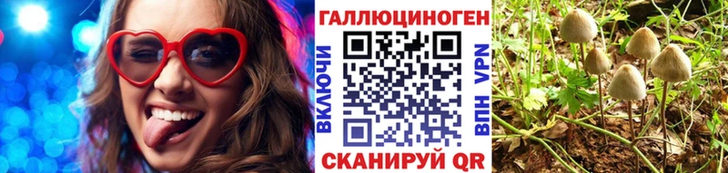 Псилоцибиновые грибы Psilocybe Павловская