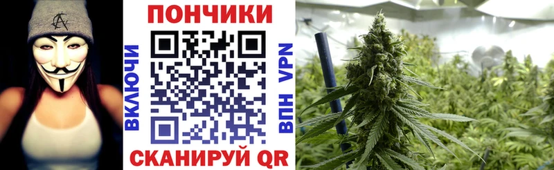 Канабис ГИДРОПОН  Павловская 